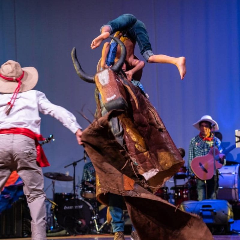 74911780 1431764390307499 7153715214892924928 n