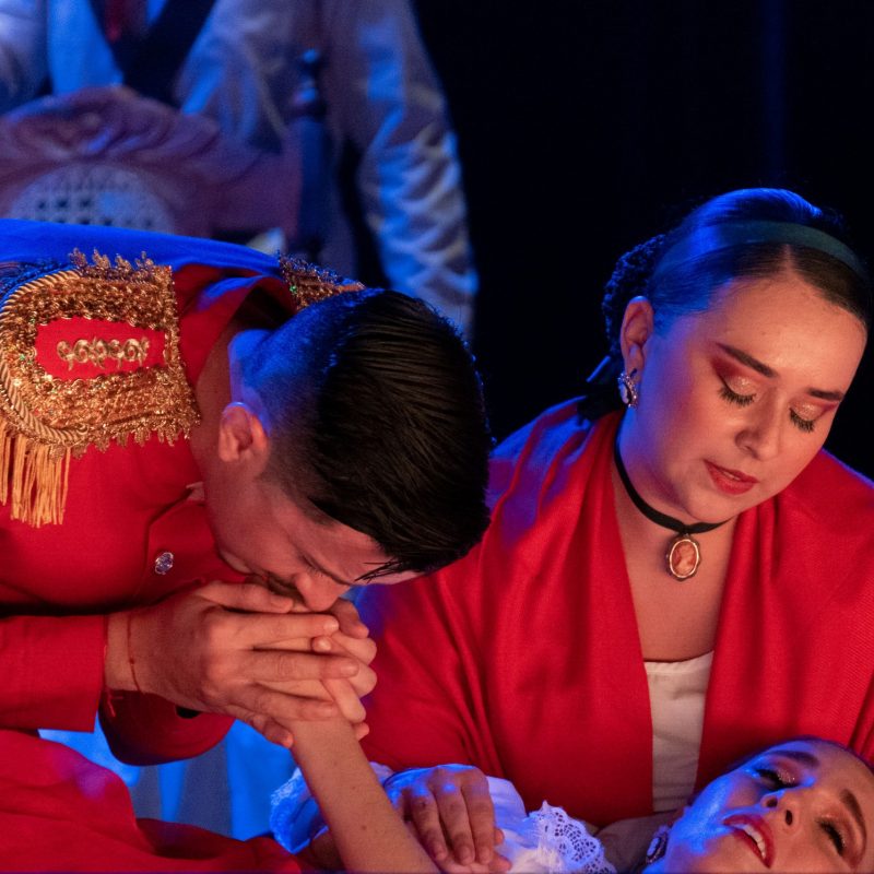 la malacrianza costa rica10