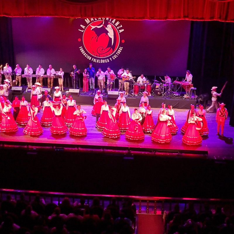 la malacrianza costa rica22