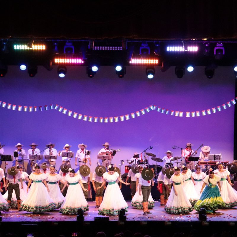 la malacrianza costa rica29