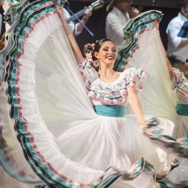 la malacrianza costa rica4