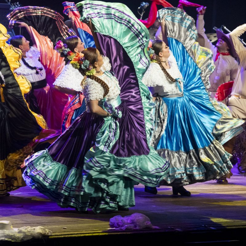 la malacrianza costa rica6