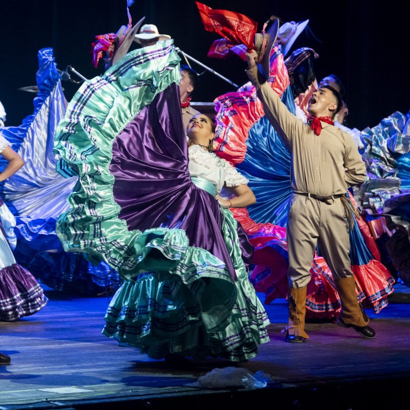 la malacrianza costa rica7