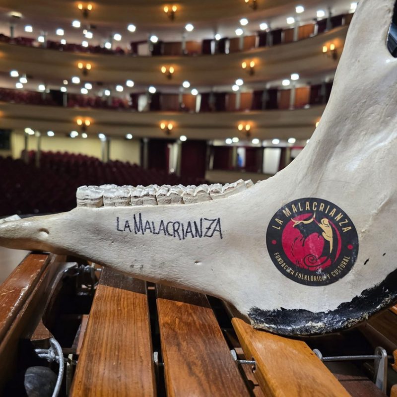 lamalacrianza direccion artistica equipo color